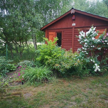 Domki Domek Na Jeziorem Wilczynskim Budzislawskim , Las, Osobno Ogrodzony 2-6 Osob- Klimatyzacja, Ogrzewanie, 62-550 Zygmuntowo Gm Wilczyn Buitenkant foto