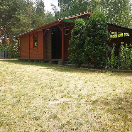 Domki Domek Na Jeziorem Wilczynskim Budzislawskim , Las, Osobno Ogrodzony 2-6 Osob- Klimatyzacja, Ogrzewanie, 62-550 Zygmuntowo Gm Wilczyn Buitenkant foto