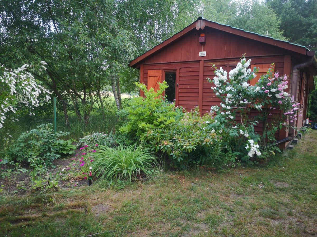 Domki Domek Na Jeziorem Wilczynskim Budzislawskim , Las, Osobno Ogrodzony 2-6 Osob- Klimatyzacja, Ogrzewanie, 62-550 Zygmuntowo Gm Wilczyn Buitenkant foto