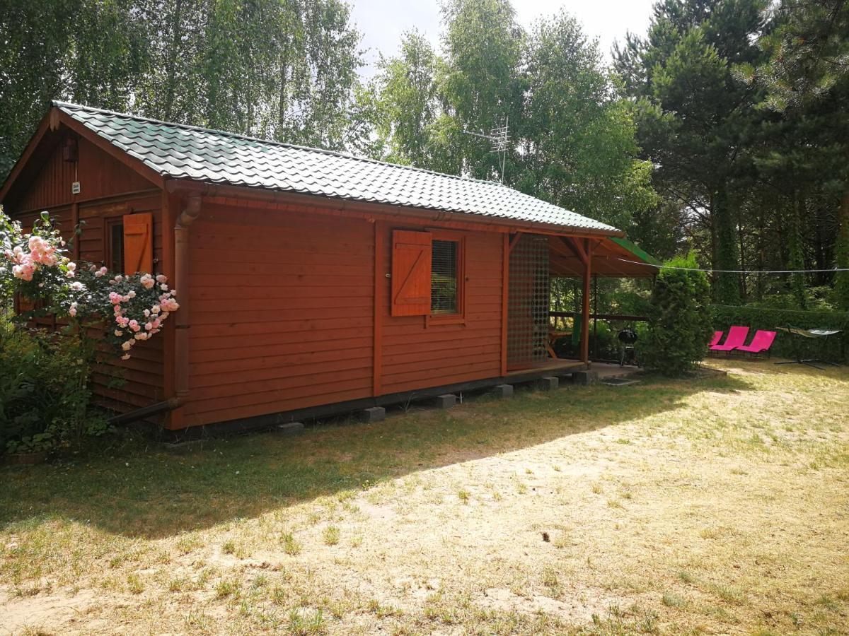 Domki Domek Na Jeziorem Wilczynskim Budzislawskim , Las, Osobno Ogrodzony 2-6 Osob- Klimatyzacja, Ogrzewanie, 62-550 Zygmuntowo Gm Wilczyn Buitenkant foto