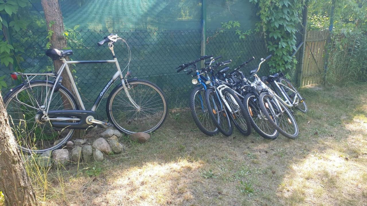 Domki Domek Na Jeziorem Wilczynskim Budzislawskim , Las, Osobno Ogrodzony 2-6 Osob- Klimatyzacja, Ogrzewanie, 62-550 Zygmuntowo Gm Wilczyn Buitenkant foto