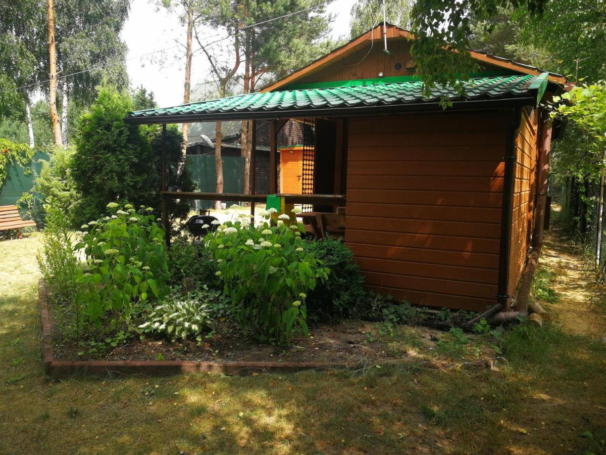 Domki Domek Na Jeziorem Wilczynskim Budzislawskim , Las, Osobno Ogrodzony 2-6 Osob- Klimatyzacja, Ogrzewanie, 62-550 Zygmuntowo Gm Wilczyn Buitenkant foto