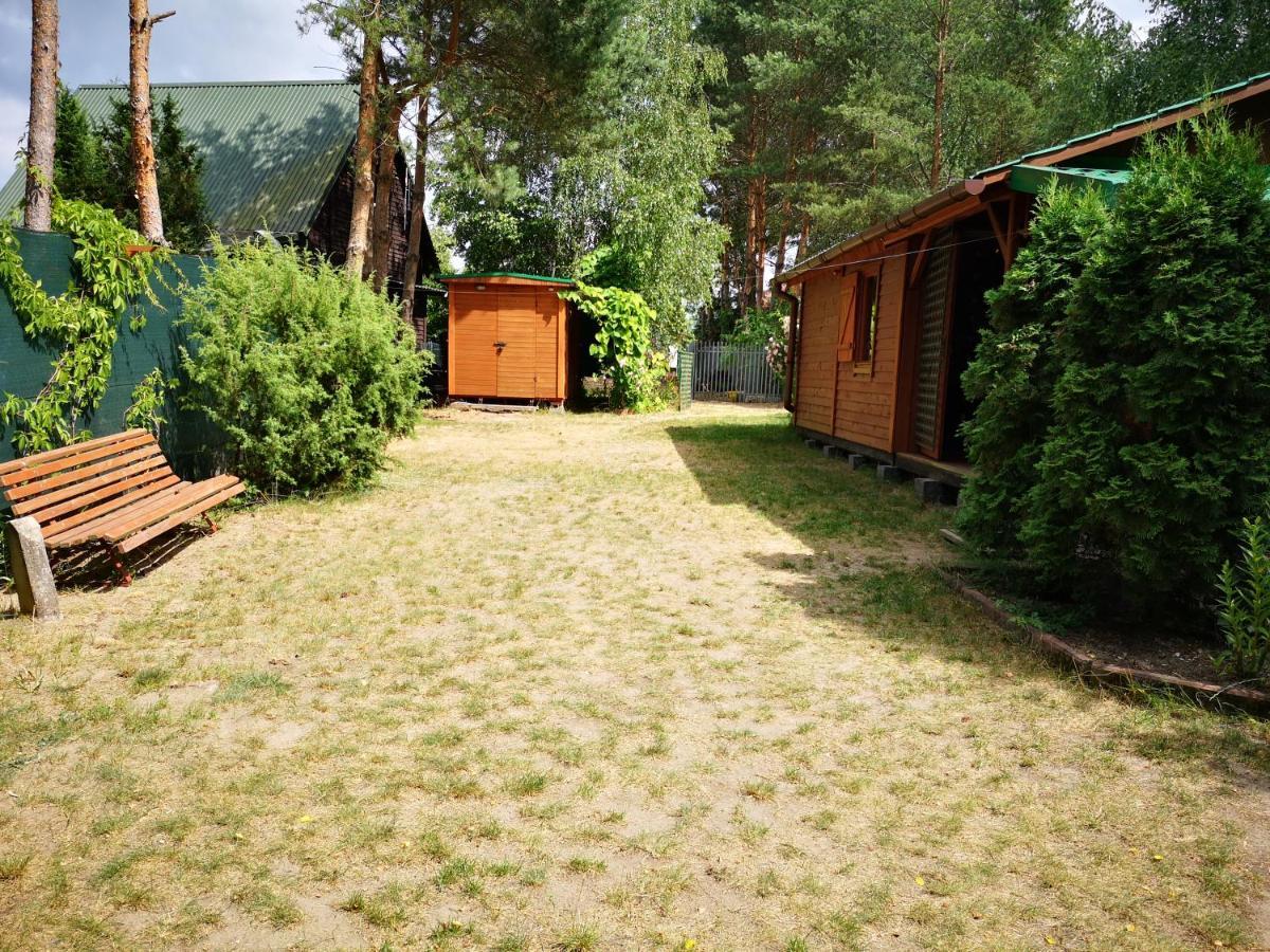 Domki Domek Na Jeziorem Wilczynskim Budzislawskim , Las, Osobno Ogrodzony 2-6 Osob- Klimatyzacja, Ogrzewanie, 62-550 Zygmuntowo Gm Wilczyn Buitenkant foto