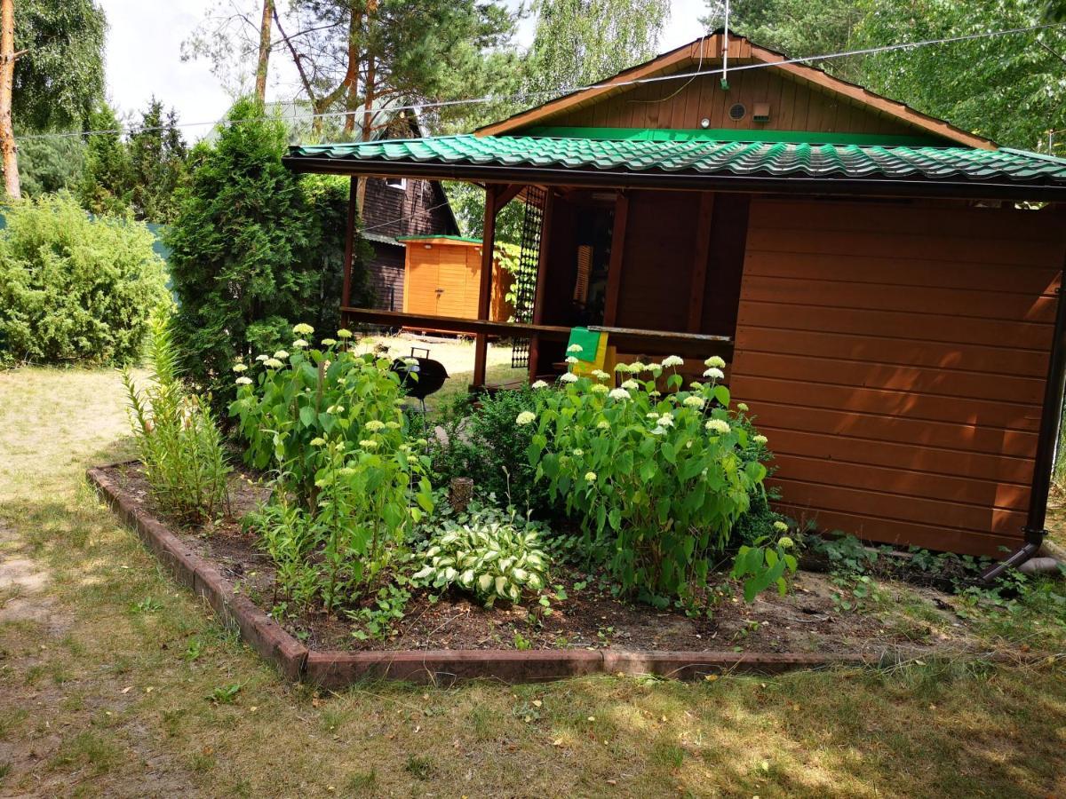 Domki Domek Na Jeziorem Wilczynskim Budzislawskim , Las, Osobno Ogrodzony 2-6 Osob- Klimatyzacja, Ogrzewanie, 62-550 Zygmuntowo Gm Wilczyn Buitenkant foto