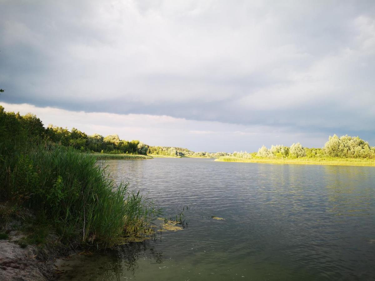 Domki Domek Na Jeziorem Wilczynskim Budzislawskim , Las, Osobno Ogrodzony 2-6 Osob- Klimatyzacja, Ogrzewanie, 62-550 Zygmuntowo Gm Wilczyn Buitenkant foto