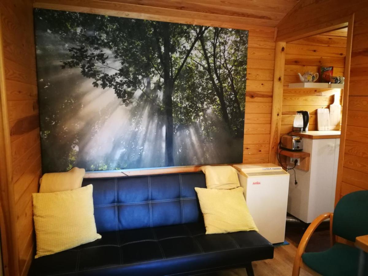 Domki Domek Na Jeziorem Wilczynskim Budzislawskim , Las, Osobno Ogrodzony 2-6 Osob- Klimatyzacja, Ogrzewanie, 62-550 Zygmuntowo Gm Wilczyn Buitenkant foto