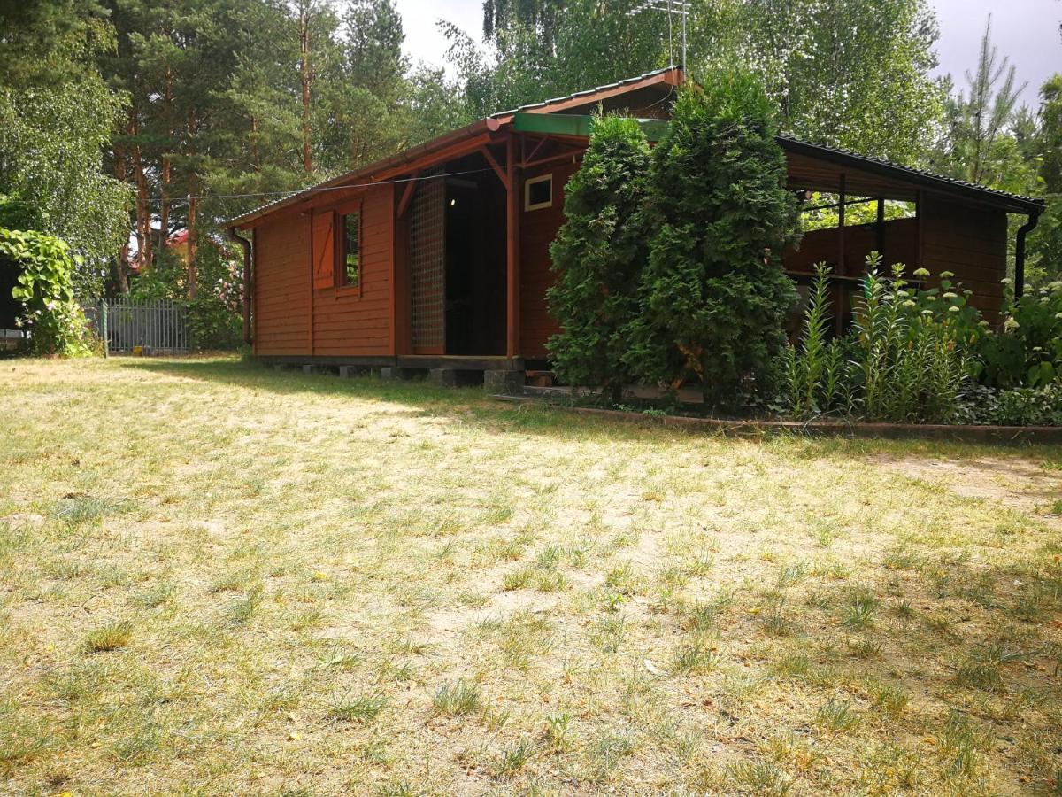 Domki Domek Na Jeziorem Wilczynskim Budzislawskim , Las, Osobno Ogrodzony 2-6 Osob- Klimatyzacja, Ogrzewanie, 62-550 Zygmuntowo Gm Wilczyn Buitenkant foto