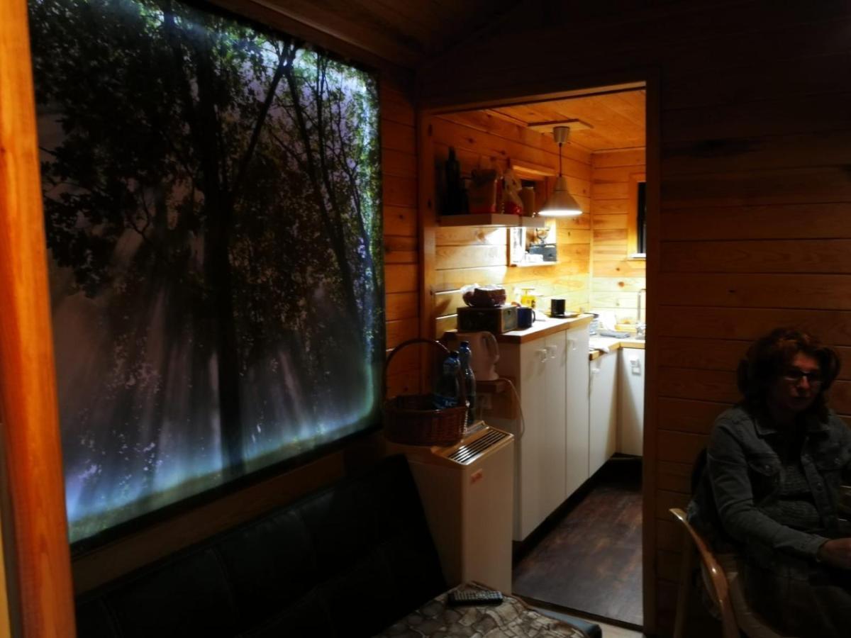 Domki Domek Na Jeziorem Wilczynskim Budzislawskim , Las, Osobno Ogrodzony 2-6 Osob- Klimatyzacja, Ogrzewanie, 62-550 Zygmuntowo Gm Wilczyn Buitenkant foto