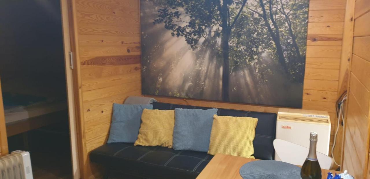 Domki Domek Na Jeziorem Wilczynskim Budzislawskim , Las, Osobno Ogrodzony 2-6 Osob- Klimatyzacja, Ogrzewanie, 62-550 Zygmuntowo Gm Wilczyn Buitenkant foto